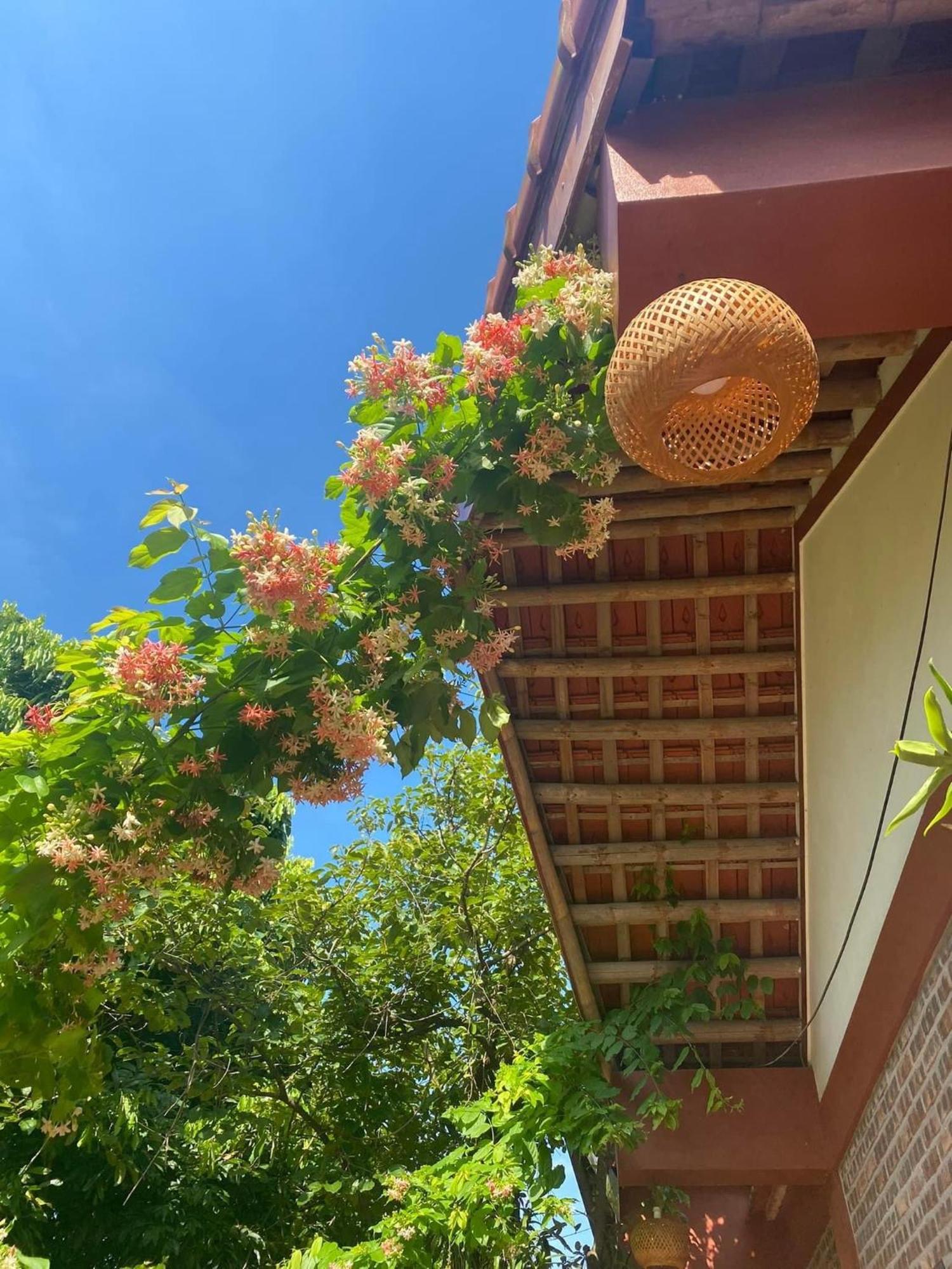 Thuy Xuyen Tam Coc Homestay Vu Lam エクステリア 写真