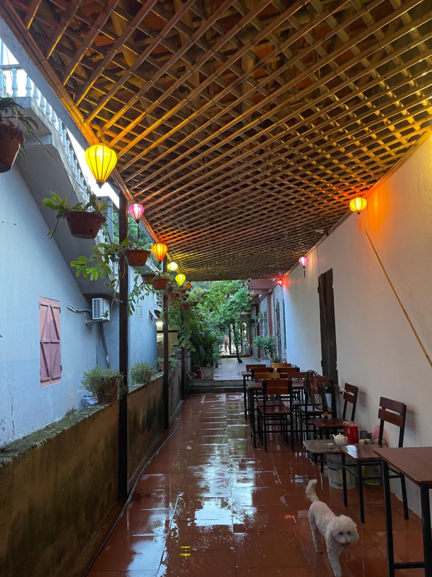 Thuy Xuyen Tam Coc Homestay Vu Lam エクステリア 写真